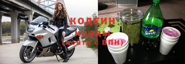 СК Медвежьегорск