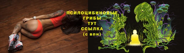 бошки Магадан