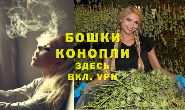 СК Медвежьегорск