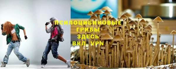 spice Мегион