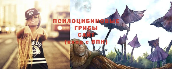 СК Медвежьегорск